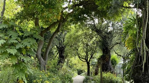 Val Rahmeh à Menton (06), et son site labellisé EcoJardin en 2024.