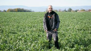 Pour ses couverts d’hiver semés à la fin de septembre, Gaëtan a choisi un mélange de féverole et d'avoine.