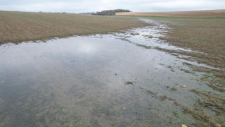 En 2024, Pacifica a appelé environ 45 millions d'euros du Fonds de solidarité nationale.