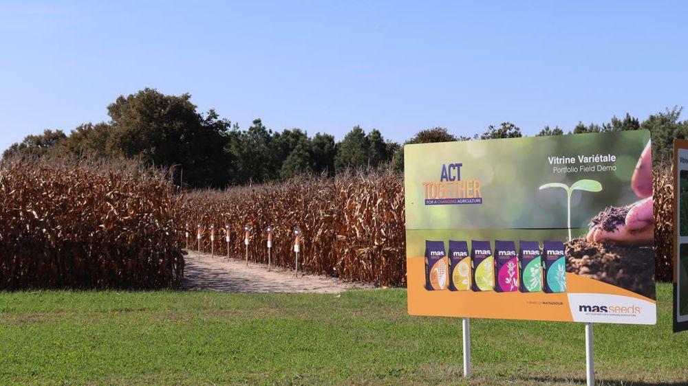 Mas Seeds, très identifiée sur les semences de maïs et de tournesol, est structurée autour de 13 filiales, dont 11 en Europe. Ses semences sont commercialisées dans plus de 50 pays.