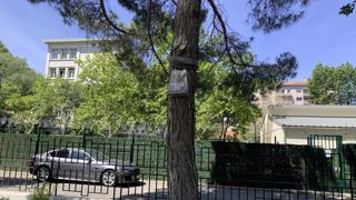 Alliance biocontrôle, qui mesurait les quantités de produits de protection des cultures respectueux de l’environnement, propose désormais de quantifier le nombre d’hectares concernés et le taux de pénétration de la méthode dans chaque groupe de culture. Sans l’horticulture pour l’instant, malheureusement !