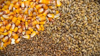 Sur les 19,5 Mt de matières premières agricoles utilisées en FAB sur la campagne 2024/25, 9,3 Mt devraient être des céréales. Sur les 19,5 Mt de matières premières agricoles utilisées en FAB sur la campagne 2024/25, 9,3 Mt devraient être des céréales.