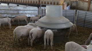 Le coût de l'UF est un élément déterminant.