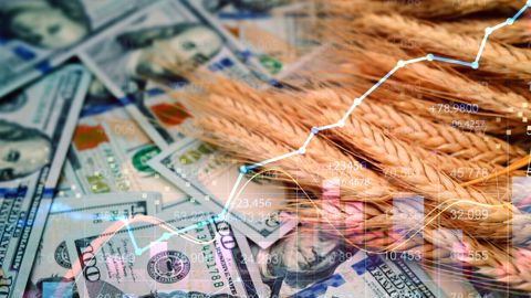 Mardi 21 janvier, le contrat de référence sur le blé américain de variété SRW a gagné 3,7 % en une séance. Mardi 21 janvier, le contrat de référence sur le blé américain de variété SRW a gagné 3,7 % en une séance.
