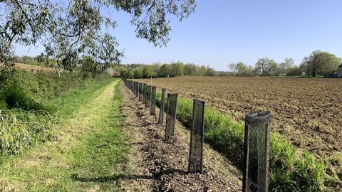 Quelle palette végétale pour la Normandie demain, alors que le sud de la région pourrait connaître trente à quarante jours à plus de 30 °C ? C'est la question à laquelle des professionnels de la région ont tenté de répondre lors d'une table ronde l'été dernier.