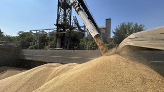 D'importants volumes de blé et d'orge arrivent pour l'heure d'Argentine et d'Australie qui profitent toutes deux d'une bonne récolte.