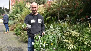 Grâce au Growcoon, « le système racinaire est beaucoup plus fort et il n’y a pas d’arrêt de croissance lors du rempotage », juge Hervé Simier, qui teste le produit depuis 2020.