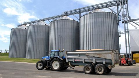 A l'échelle nationale, FranceAgriMer estime que la collecte de blé dur est en baisse de 8 % par rapport à la dernière campagne.