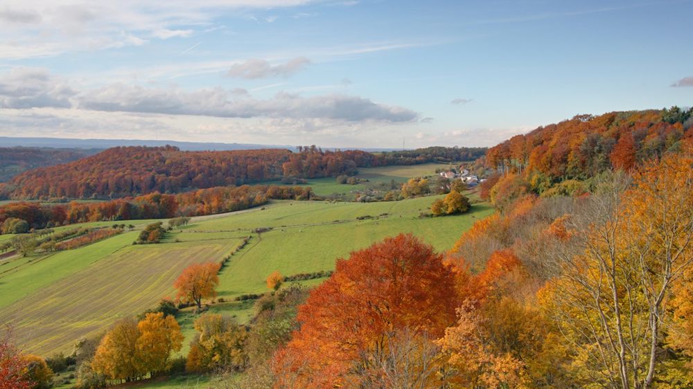 « Plan Herbe », développement des circuits courts, création de la coopérative Mos-Laine... sont des réalisations à l'actif de la Chambre d'agriculture de Moselle.