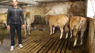 Bénat Iribarren sélectionne les  meilleures génisses de qualité mixte élevage pour le renouvellement de son troupeau.