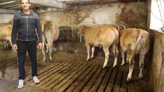 [] Des veaux sous la mère en complément des brebis laitières