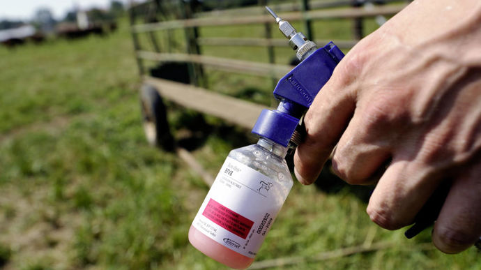 Face à la multiplication des épizooties, des Assises du sanitaire animal, voulues par l’État, posent avant tout la question des financements, entre prévention et gestion de crises.