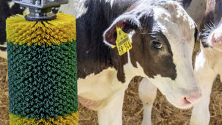 Les poils des brosses Patura sont en polypropylène afin de garantir leur robustesse. Les poils des brosses Patura sont en polypropylène afin de garantir leur robustesse.