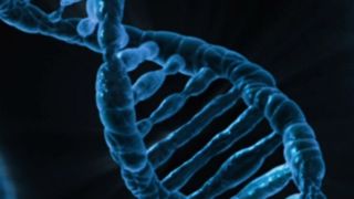 Les autorités sanitaires recommandent une utilisation accrue des analyses génétiques pour identifier rapidement les nouvelles souches, Les autorités sanitaires recommandent une utilisation accrue des analyses génétiques pour identifier rapidement les nouvelles souches,