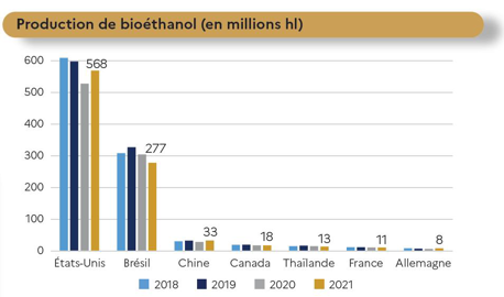 Production de bioéthanol