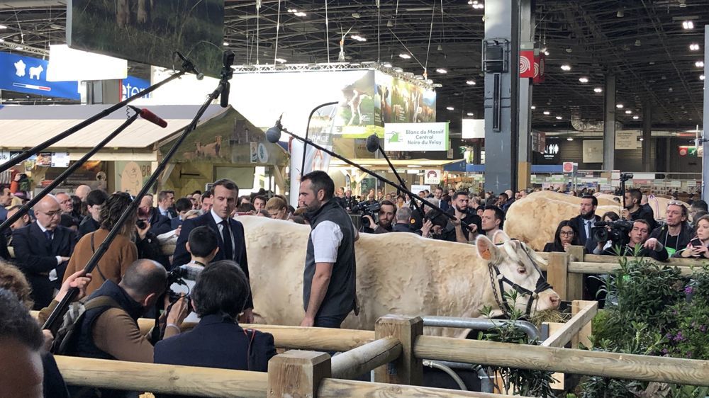 L'accueil des politiques au Salon de l'agriculture, c'est « sportif » reconnaît la ministre de l'agriculture.