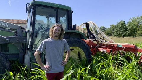 Deux passages de herse étrille ont été réalisés par une ETA chez Gaël Chevalier.