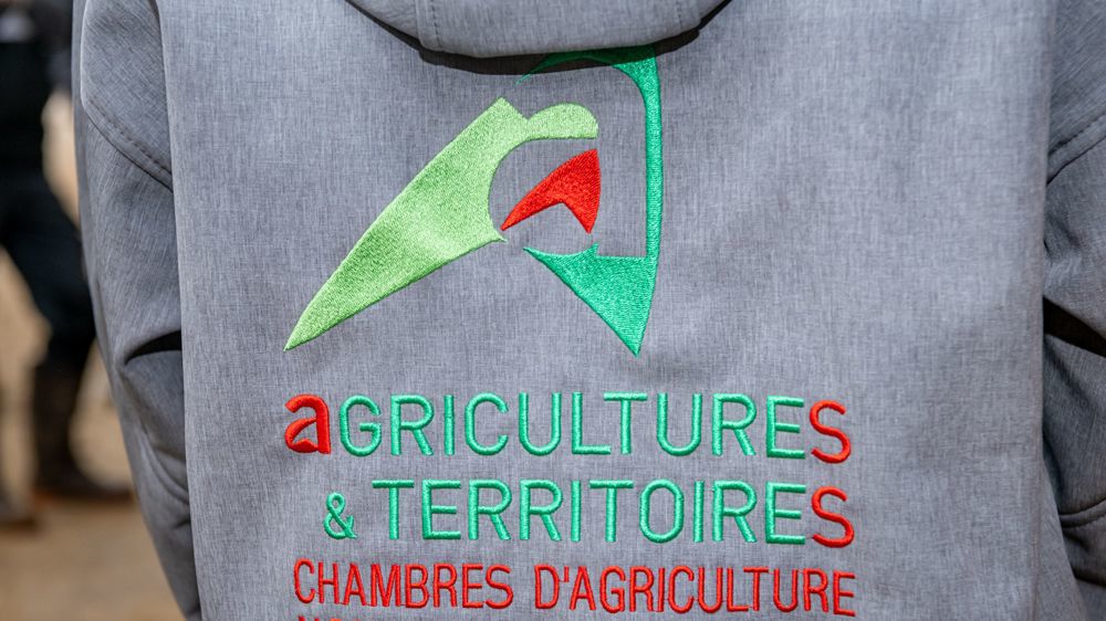 La CR revendique une large percée après les premiers résultats provisoires La CR revendique une large percée après les premiers résultats provisoires