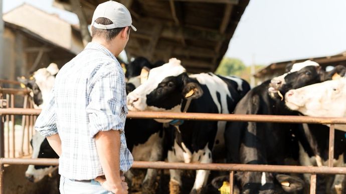 « À nous, jeunes éleveurs, de mener notre exploitation en fonction de nos objectifs et de nos valeurs », estiment Charles, Carole, Cyrille et Lucien.