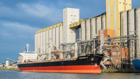 FranceAgriMer estime à 3,4 Mt le volume de blé tendre français qui sera exporté vers les pays tiers sur 2024/25 : 67 % de moins que sur 2023/24.