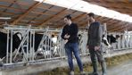 Faire appel à un œil extérieur pour orienter son projet d'augmentation en lait peut faire la différence.