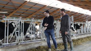 Faire appel à un œil extérieur pour orienter son projet d'augmentation en lait peut faire la différence.