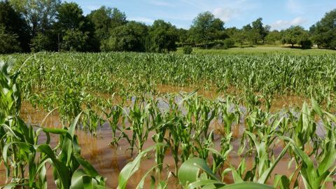 La fréquence des pluies extrêmes va croître avec le réchauffement climatique.