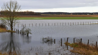 Selon les éleveurs, l'indice satellitaire pour mesurer la pousse de l'herbe n'a pas suffisamment pris en compte les excès d'eau lors de la campagne de 2024. Selon les éleveurs, l'indice satellitaire pour mesurer la pousse de l'herbe n'a pas suffisamment pris en compte les excès d'eau lors de la campagne de 2024.