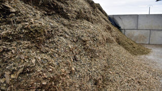 Enfouir les résidus, récolter tôt et assurer une bonne activité ruminale chez ses bovins, permettent de réduire le développement ou l'impact des mycotoxines.