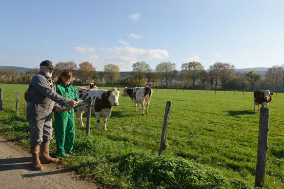 [] Comment cumuler sa retraite de salarié avec une activité agricole ?
