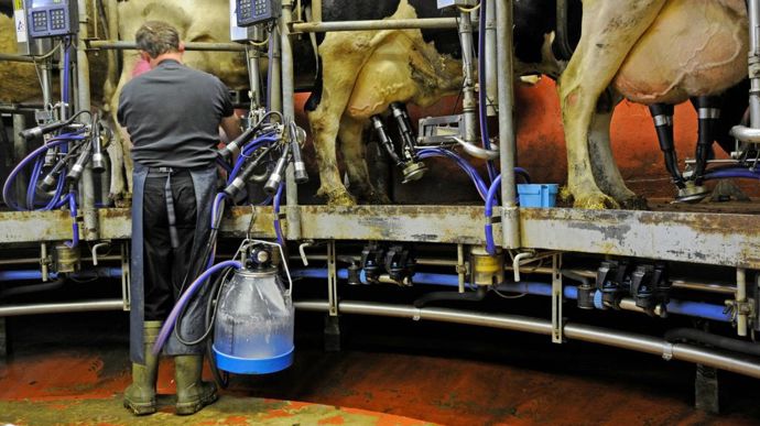 La collecte laitière française a progressé d’environ 1 % en 2024.