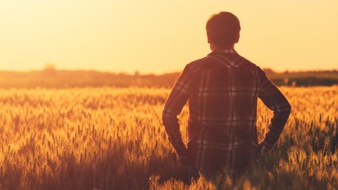 Que contient la loi d'orientation agricole définitivement adoptée ?