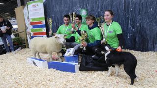 Anthony Rispal (deuxième en partant de la gauche) est le meilleur jeune berger 2025. Il est entouré de Jules Fosséprez (à gauche) et Antoine Roussies (troisième en partant de la gauche). Jeanne Touzelet (à droite) a été sacrée meilleure jeune bergère.