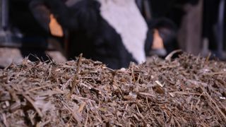 L'analyse NIR des fourrages est efficace et peu coûteuse. Un petit investissement pour mieux caler la ration de son troupeau en fonction de ses besoins.