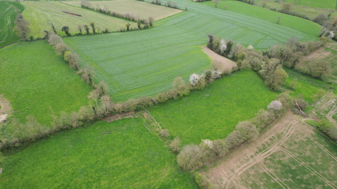 [] Que va annoncer la ministre de l’Agriculture sur l’accès au foncier ?