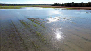 Comme en Île-de-France, un forfait de 1 000 €/ha sera versé par la Métropole du Grand Paris aux agriculteurs à la création d'une servitude de surinondation. Comme en Île-de-France, un forfait de 1 000 €/ha sera versé par la Métropole du Grand Paris aux agriculteurs à la création d'une servitude de surinondation.