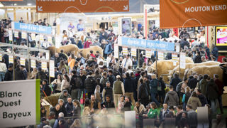 Dans les allées du salon, les agriculteurs rapportent qu'ils sont de moins en moins nombreux. Un jeune regrette des conditions d'installation « trop dures ». Dans les allées du salon, les agriculteurs rapportent qu'ils sont de moins en moins nombreux. Un jeune regrette des conditions d'installation « trop dures ».