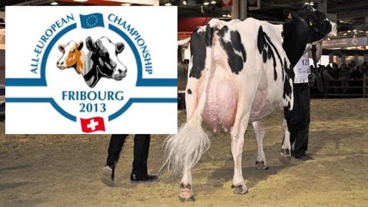 Concours europe Holstein Fribourg Suisse mars 2013
