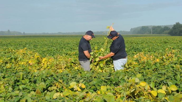 Avec Cap Protéines +, les instituts techniques ambitionnent de mettre les légumineuses au cœur de la souveraineté protéique française.