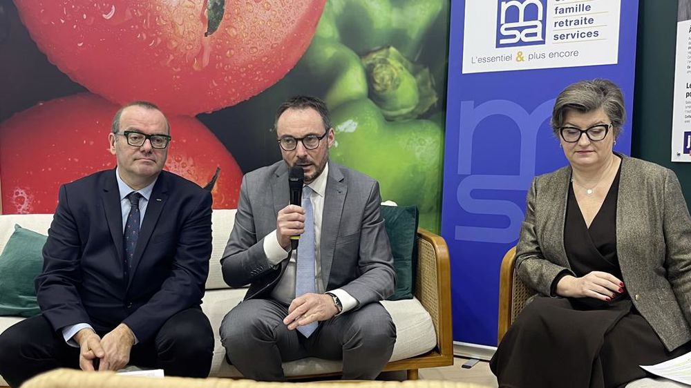 Olivier Damaisin Jean-François Fruttero et Magalie Rascle