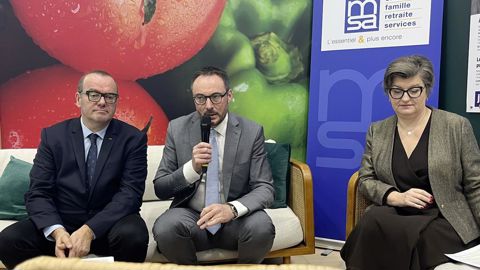 Olivier Damaisin, Jean-François Fruttero et Magalie Rascle