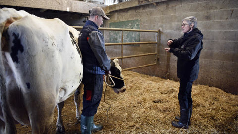 Les petites entreprises bénéficieront toujours d’une aide pour recruter des apprentis, mais réduite à 5 000 € et uniquement la première année.