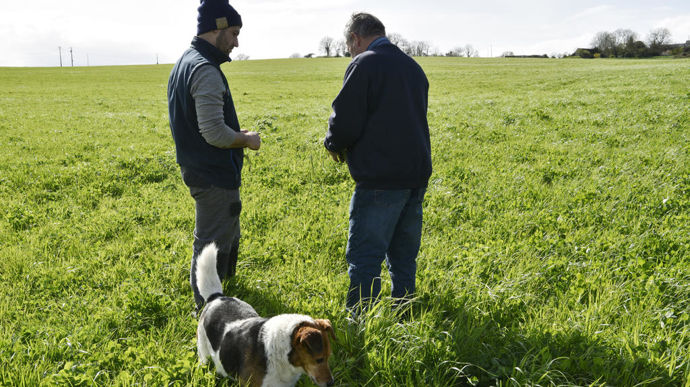 [] Le nombre d’installés en agriculture est en berne