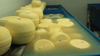 Le groupement de coopératives tente de résoudre les différends internes au Mercosur comme pour le lait entre l'Uruguay et le Brésil