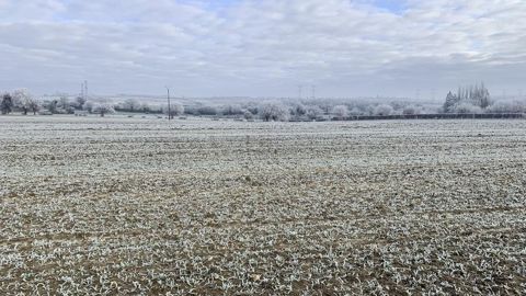 Il pourrait de nouveau geler le matin la semaine prochaine.