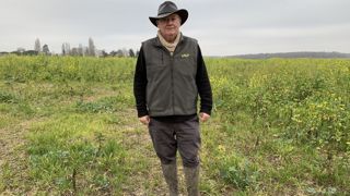 Thierry Maillier a introduit le sorgho grain sur son exploitation il y a 5 ans.