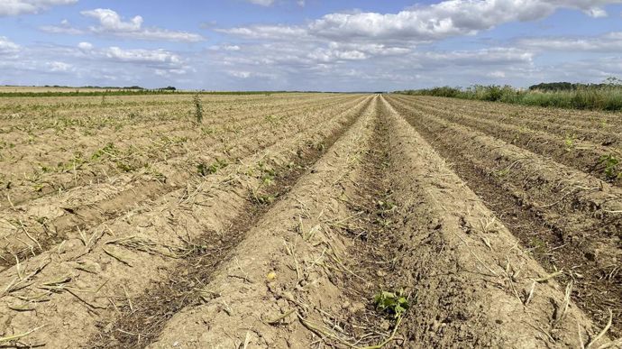 Le chiffre d’affaires du segment des défanants grimpe à environ 7,5 M€ contre 6,8 M€ la campagne précédente.