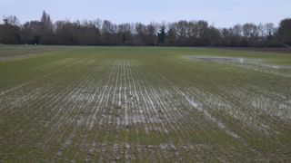 L’excès d’eau en hiver, en particulier son impact sur céréales, fait partie des aléas étudiés par l'outil ClimAléas-Diag.