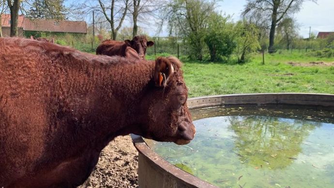Avec le réchauffement climatique, l'autonomie en eau pourrait bien devenir stratégique.