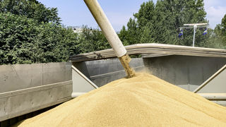 Le 12 mars 2025, FranceAgriMer a révisé à la hausse de 200 000 tonnes sa prévision d'exportation d'orge françaises vers les pays tiers pour la campagne de 2024-2025. Le 12 mars 2025, FranceAgriMer a révisé à la hausse de 200 000 tonnes sa prévision d'exportation d'orge françaises vers les pays tiers pour la campagne de 2024-2025.